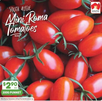 Foodland Mini Roma Tomatoes 200g Punnet offer