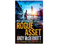 Rogue Asset by Andy McDermott