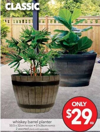 Cheap as Chips Whiskey Barrel Planter offer