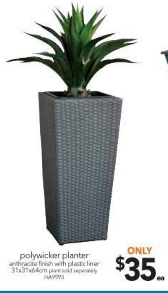 Cheap as Chips Polywicker Planter 31x31x64cm offer