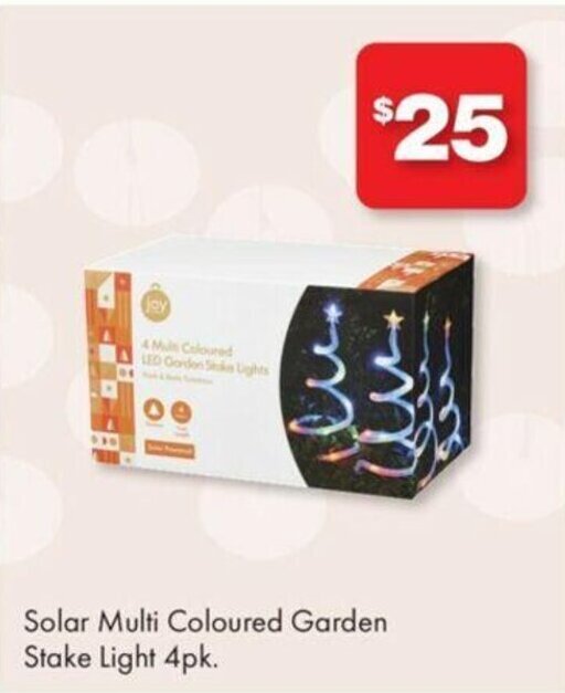 Solar Multi Coloured Garden Stake Light 4pk offer at The Reject Shop