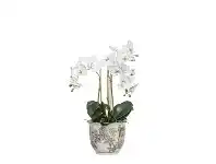 LivingStyles Artificial Phalaenopsis Orchid in Lucia Pot, Small offer