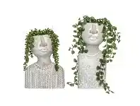 LivingStyles Emilie & Sophia 2 Piece Potted Artificial Senecio Radicans & Dischidia Nummularia Set offer