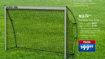Intersport Alpha gear portable flex goal offer