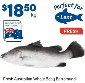 Fresh Australian Whole Baby Barramudi