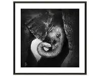 LivingStyles "An Elephants Love" Framed Canvas Wall Art, 100cm offer