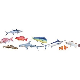 BCF Fish pillows offer