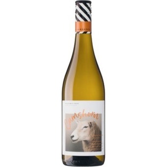 Coles Camshorn sauvignon blanc offer