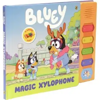 BIG W New bluey magic xylophone offer