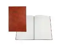 Officeworks Collins Debden 3880 A4 Account Book 4 Money Column offer