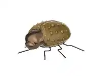 LivingStyles Insecto Ceramic Beetle Sculpture, Ground Beetle offer