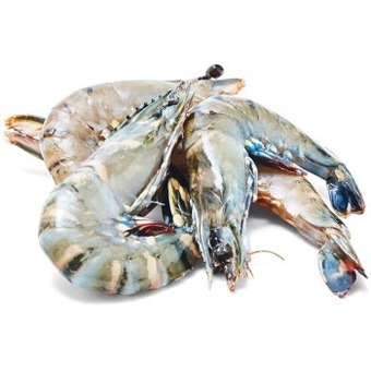 Woolworths Thawed extra large australian green tiger prawns offer