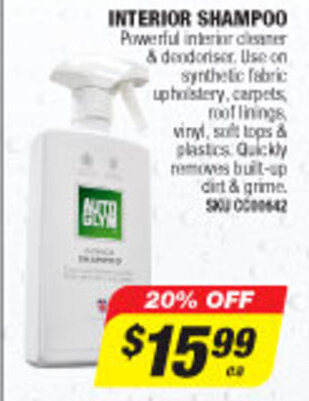Interior Shampoo