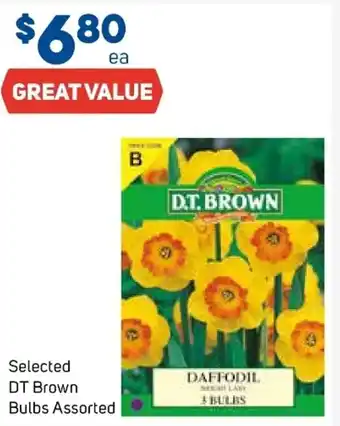 Foodland Selected DT Brown Bulbs Assorted offer