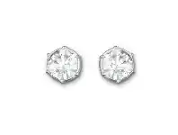 Swarovski Typical Pierced Earrings