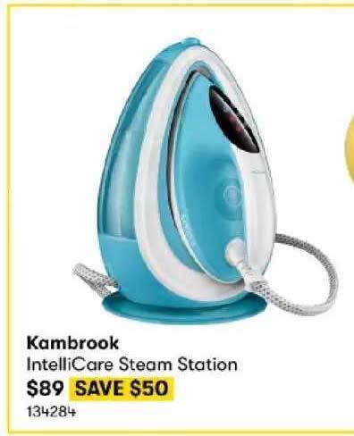 big w kambrook steamer