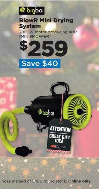 Bigboi blowr mini drying system
