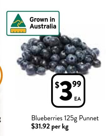 Foodworks Blueberries 125g Punnet offer