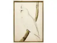 LivingStyles "Cockatoo Left" Framed Canvas Wall Art, 157cm offer