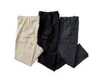 Harris Scarfe Farah Men’s Panama Elastic Waist Zipfly Cargo Pant offer