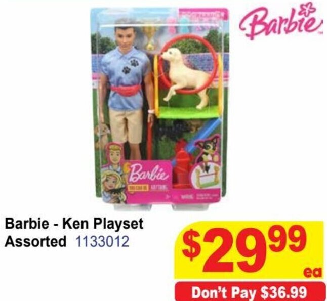 Barbie Ken Playset offer at Mr Toys