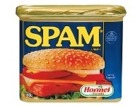 Woolworths Spam 340g offer
