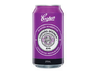 Woolworths Coopers XPA Cans 24x375ml offer