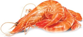Woolworths Fresh medium cooked australian tiger prawns offer