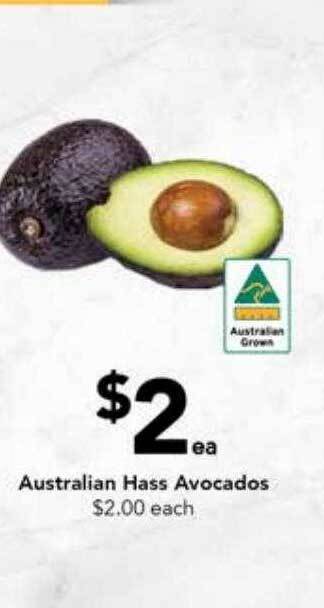 Drakes Australian hass avocados offer