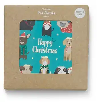 BIG W Christmas cards square 12 pack: fun pets - assorted offer