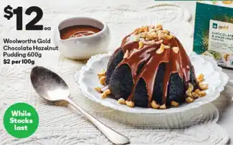 Woolworths Woolworths Gold Chocolate Hazelnut Pudding 600g offer