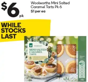 Woolworths Woolworths Mini Salted Caramel Tarts offer