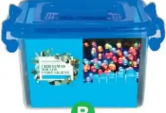 Woolworths Solar Fairy Lights Pk 500 offer