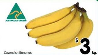 Cavendish Bananas