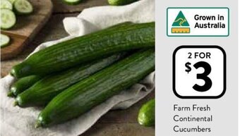 Foodworks Farm Fresh Continental Cucumbers offer