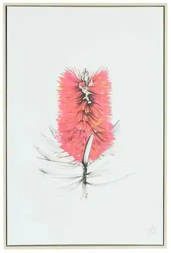 Spotlight 30% off Framed Canvas Bottle Brush 40x60cm offer