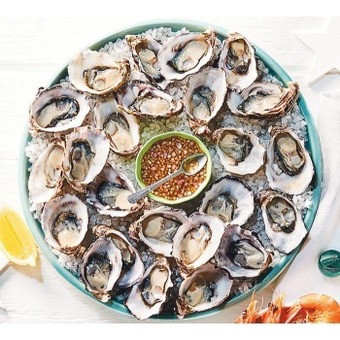Fresh australian pacific oysters