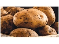 Foodworks Pre-Packed Brushed Potatoes 2kg offer
