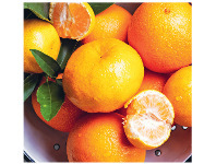 Coles Australian Murcott Mandarins offer
