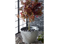 ALDI Lotus Design Garden Pot offer