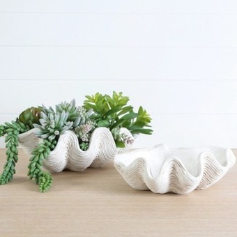 Pillow Talk Clam shell bowl by m.u.s.e. offer