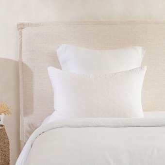 Pillow Talk Cotton pillow protector by cotton select offer
