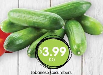 Spudshed Lebanese cucumbers offer
