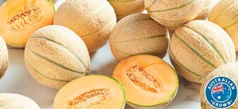 Australian Rockmelon