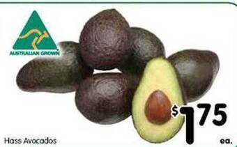 Hass avocados