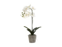 LivingStyles Artificial Orchid in Clay Pot offer