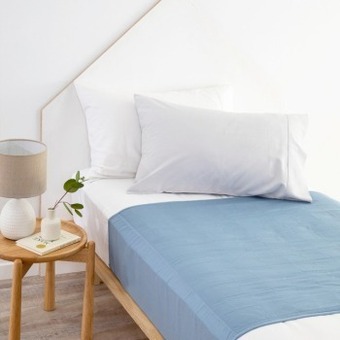 Pillow Talk Waterproof mattress & sheet protector by wet guard offer
