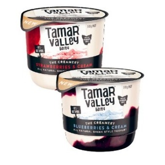 Coles Tamar valley the creamery yoghurt 170g offer