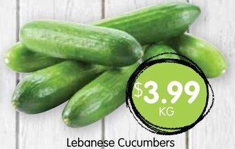 Spudshed Lebanese cucumbers offer
