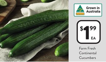 Foodworks Farm fresh continental cucumbers offer